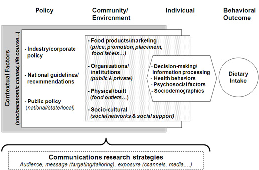 Impact of Communication Strategies at Multiple Levels on Dietary Behavior Change