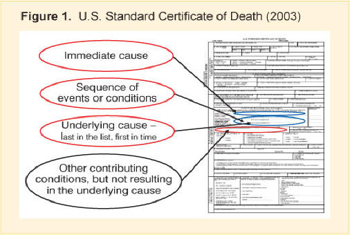 Figure 1. This figure shows the blank copy of the United States Death certificate (2003 revision). The lines for the immediate cause, sequence of events, underlying cause, and other conditions contributing to death are highlighted.