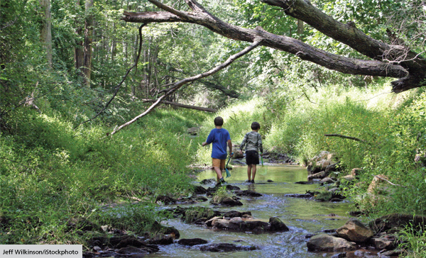 Wild Child: Guiding the Young Back to Nature