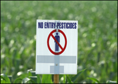 Pesticides & Neurodevelopment