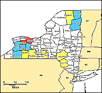 Map of Declared Counties for Disaster 1233