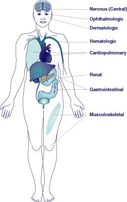 Illustration of Body Showing Systems
