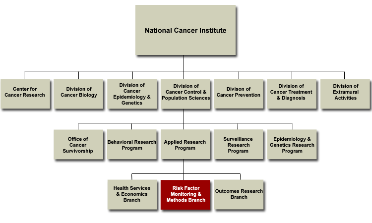 NCI Organization Chart