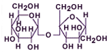 chemical drawings of carbohydrates