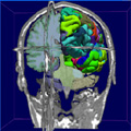 NCRR's Division of Biomedical Technology supports research to develop innovative technologies and helps make them accessible to the biomedical research community.