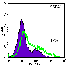 WA14 SSEA-1 histogram
