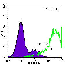 WA14 TRA-1-81 histogram