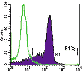 WA07 Oct-4 histogram