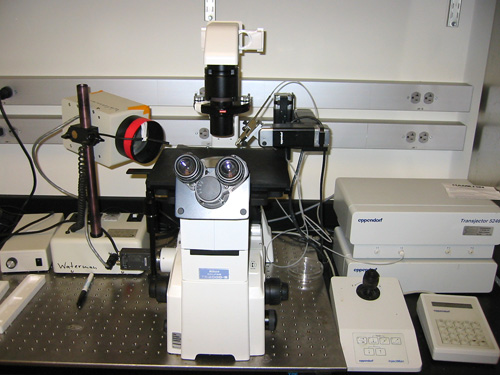 Cell Microinjection system