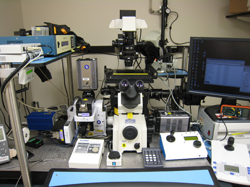 Multispectral Spinning Disk Confocal and TIRF Microscope