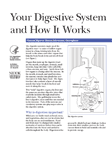 Your Digestive System and How It Works