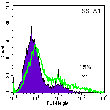 ES01 SSEA-1 histogram