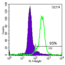 TE06 Oct-4 histogram