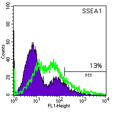 TE06 SSEA-1 histogram