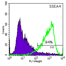 TE06 SSEA-4 histogram