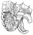 Drawing of an inflamed appendix.