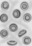 Drawing of healthy red blood cells. The cells are round and smooth.