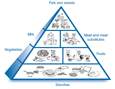 A drawing of the diabetes food pyramid, divided into six sections. Each section is labeled with the name of the food group and shows examples of foods in that group. At the base of the pyramid is the starches group. Above the base are two groups: vegetables and fruits. The milk group and meat and meat substitutes group are above the vegetables and the fruits. The fats and sweets group is at the top.