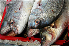 Fish in the Fish Market