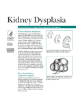 Kidney Dysplasia