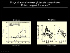 Link - to powerpoint presentation: Metabotropic Glutamate 5 Receptors: Role in Drug Self-Administration and in Regulating the Activity of Brain Reward Systems</em></center>