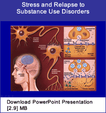 Link - Powerpoint presentation: Stress and Relapse to Substance Use Disorders