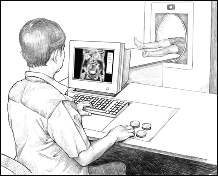 A doctor looks at an image on a computer screen of a patient's CAT (or CT) scan.