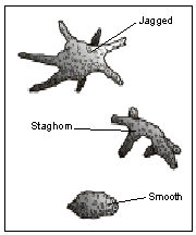 Illustration of various kidney stone shapes.