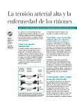 High Blood Pressure and Kidney Disease (La tensión arterial alta y la enfermedad de los riñones)

