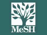 small mesh logo