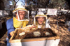 Honey Bees with Farmers