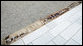 The date and time of September 11, 2001 9:37 AM is seen etched in the entry walkway to the 9/11 Pentagon Memorial Thursday, Sept. 11, 2008 at the Pentagon in Arlington, Va., where 184 memorial benches were unveiled honoring all innocent life lost when American Airlines Flight 77 crashed into the Pentagon. White House photo by Eric Draper