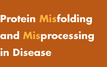 Protein Misfolding and Misprocessing in Disease