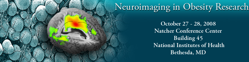 Neuroimaging in Obesity Research, October 27-28, 2008