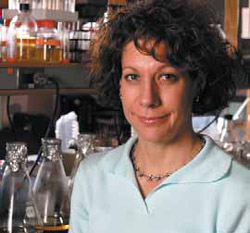 Bonnie Bassler of Princeton University, studies how cells talk to each other by focusing on bacteria that glow when they reach a certain population size. Bassler's research might help vanquish ailments that rely on similar bacterial chatter, including tuberculosis, pneumonia, and food poisoning.