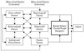 TREC Conceptual Model