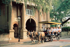 Charleston Horse & Carriage