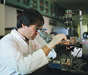 researcher with microscope