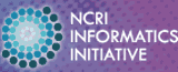 NCRI Informatics Initiative