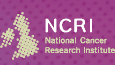 National Cancer Research Institute