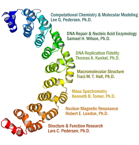 Logo of the Laboratory of Structural Biology Group