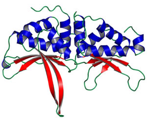 Crystal structure of the bI3 maturase from S. cerevisiae