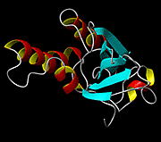 NMR & Ligand-Macromolecule Interactions