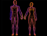 Heat Map of man and women