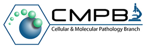 CMPB: Cellular & Molecular Pathology Branch