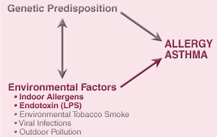 Effects of genetic predisposition and environmental factors on asthma