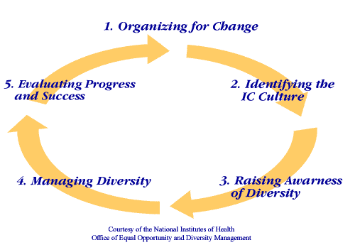 A graphic with four arrows forming a clockwise circle showing the five-stages of the Diversity Life Cycle. The five stages are: 1. Organizing for Change;  2. Identifying the Institute or Center Culture; 3. Raising Awareness of Diversity; 4. Managing Diversity; and, 5. Evaluating Progress and Success.