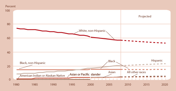 Percentage of U.S. children ages 0-17 by race and Hispanic origin, 1980-2007 and projected 2008-2020