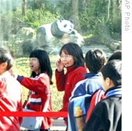台湾学童参观熊猫馆