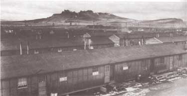 Tule Lake Camp